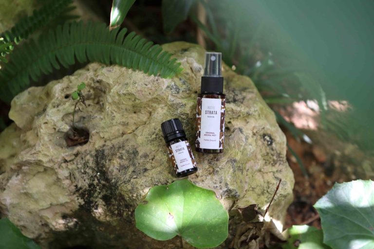 8/18　南の島の緑に囲まれて