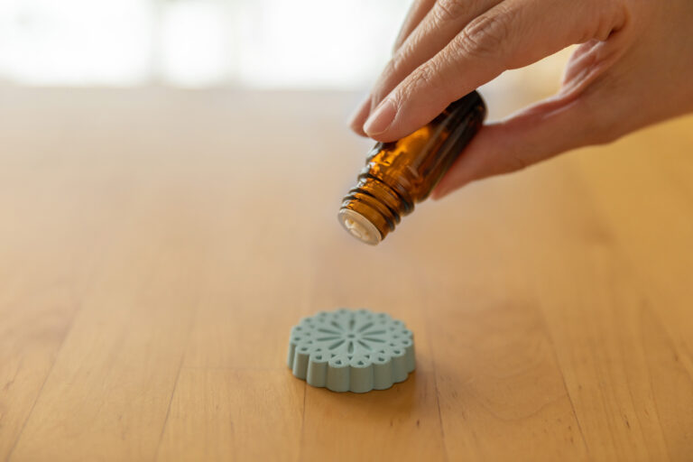 2/2　旅の香りお届けします🛳