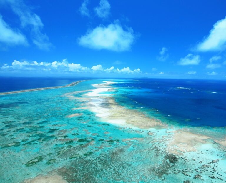 6/24　歩けるところをツンツン進む道中