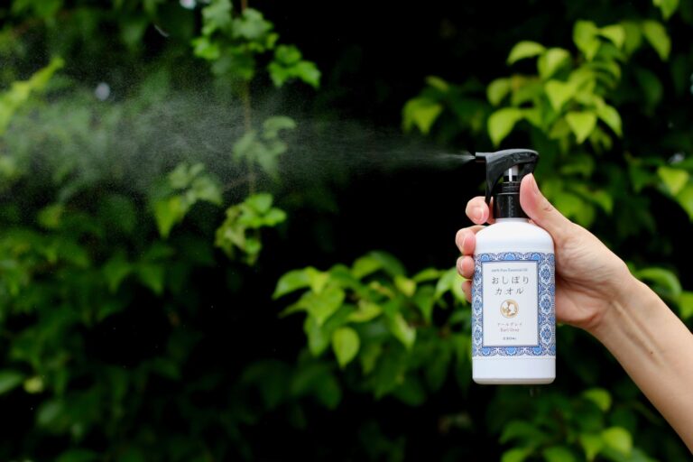 4/17　眩しい太陽の下で育った