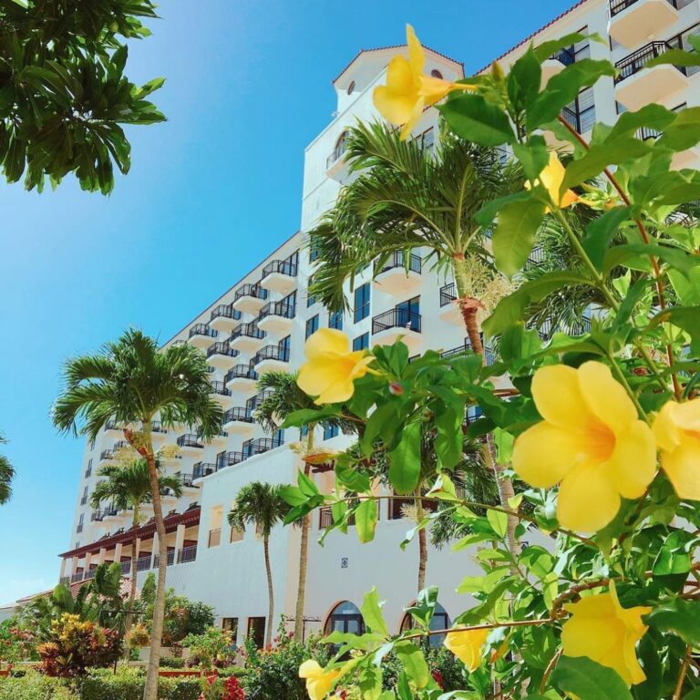 2/14　アラマンダ は