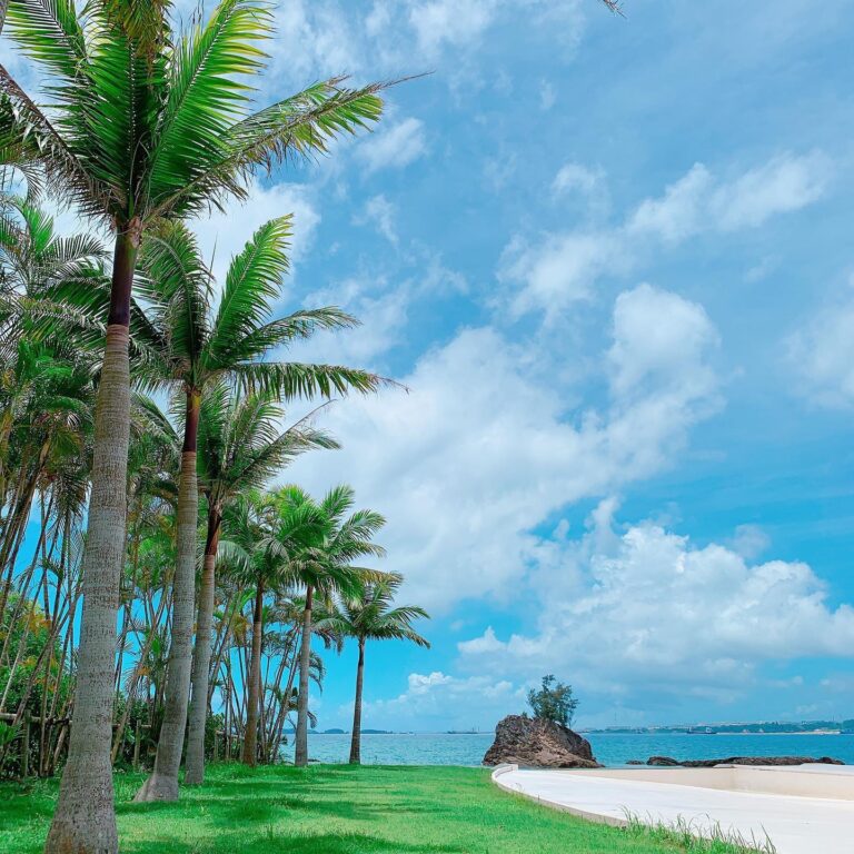 2/25　島の風景🌺