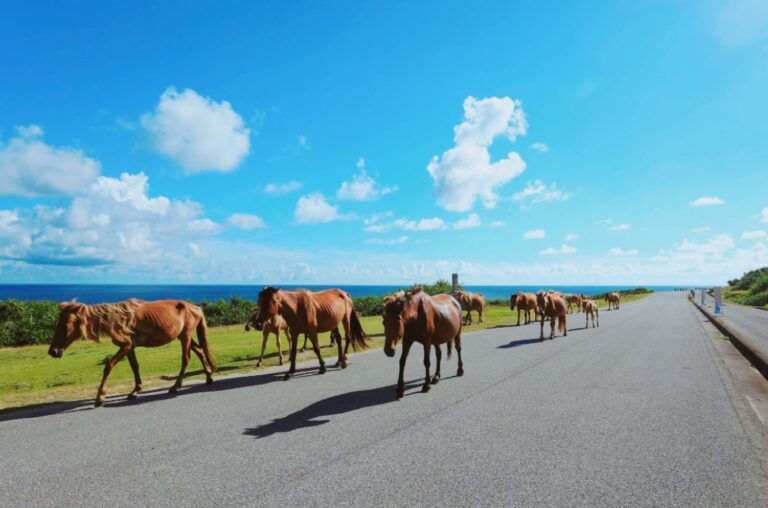 11/13　Good morning🌞