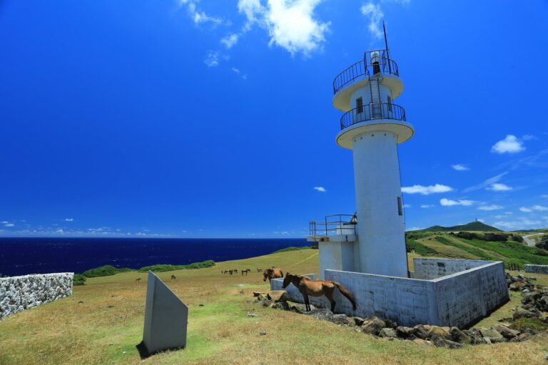 7/29　日陰の順番待ちですかね🐴