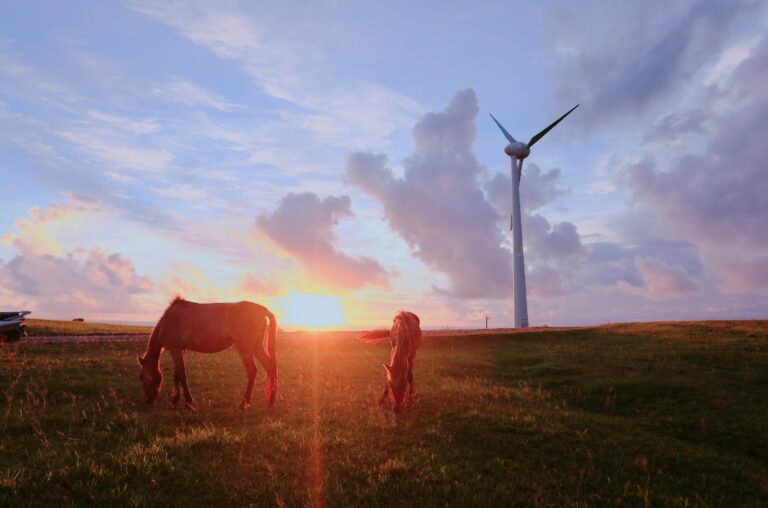 2/8　ゆっくり夜の色になっていく