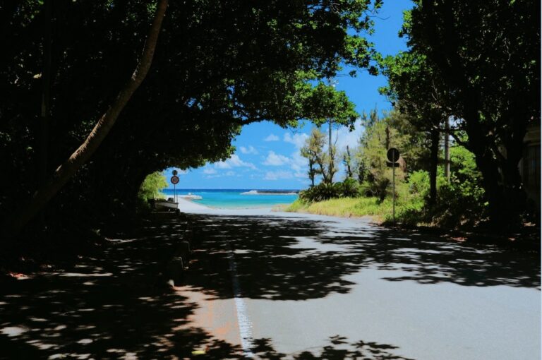 4/19　まあるいカタチのタラマ島は