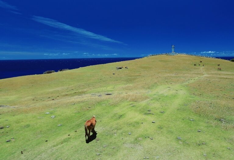 7/4　つい夢中で、ポツリはぐれちゃったけど