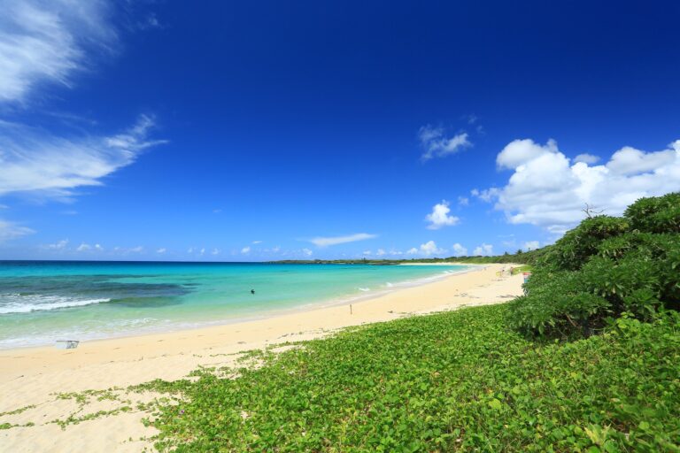 6/19　たった１度