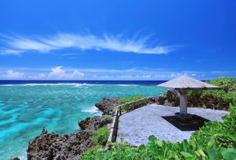 6/15　雨もたっぷり