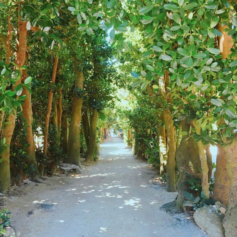 5/9　空と海がきれいな島で