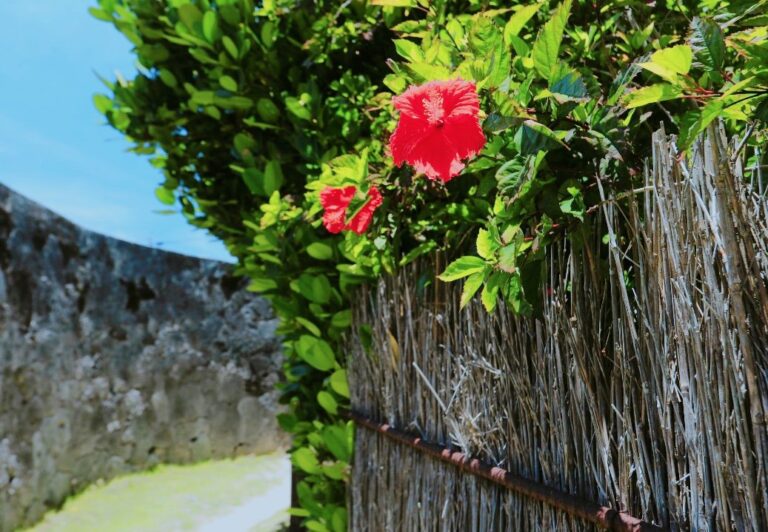 9/25　前をスタスタ行く