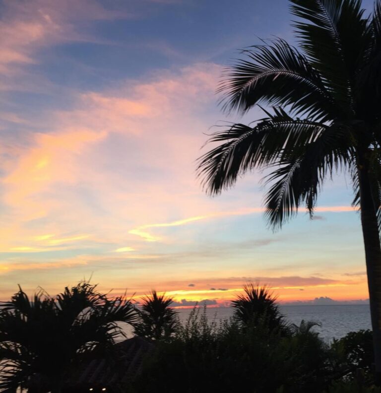 12/6　火曜日もおしまい