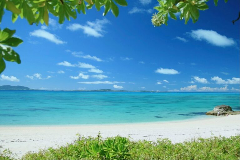 1/1　Happy New Year🏖