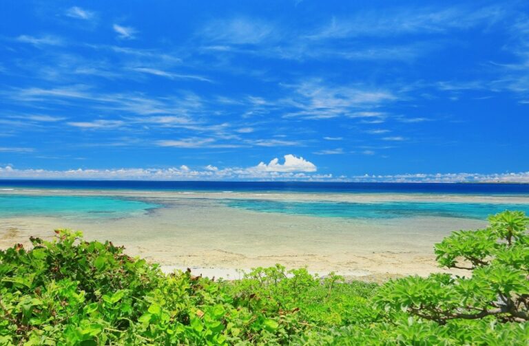 1/10　プールみたいな潮溜り🏝