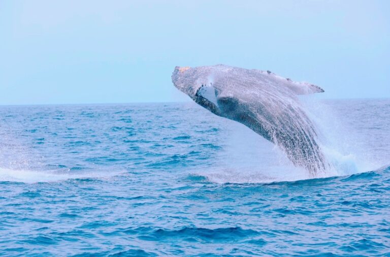 1/14　よいしょーっと！