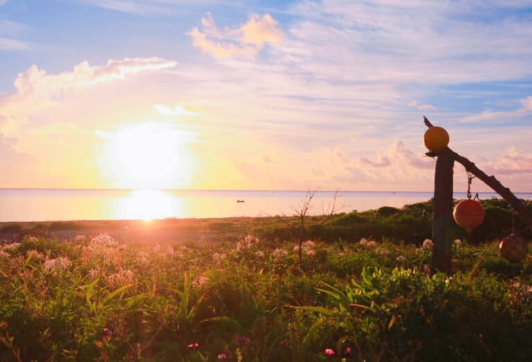 1/31　2月オキナワは球団キャンプを