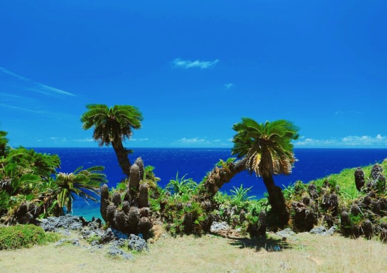 12/12　断崖絶壁すん前で