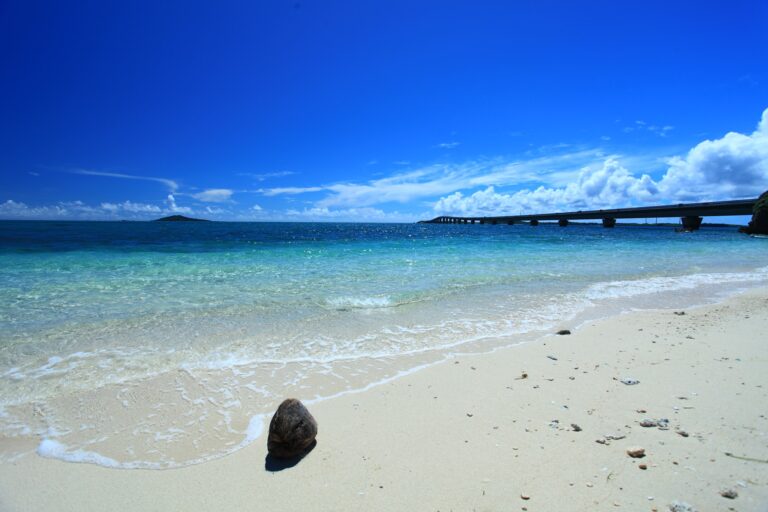 7/8　歩いても歩いても日向な南国ビーチ🌞