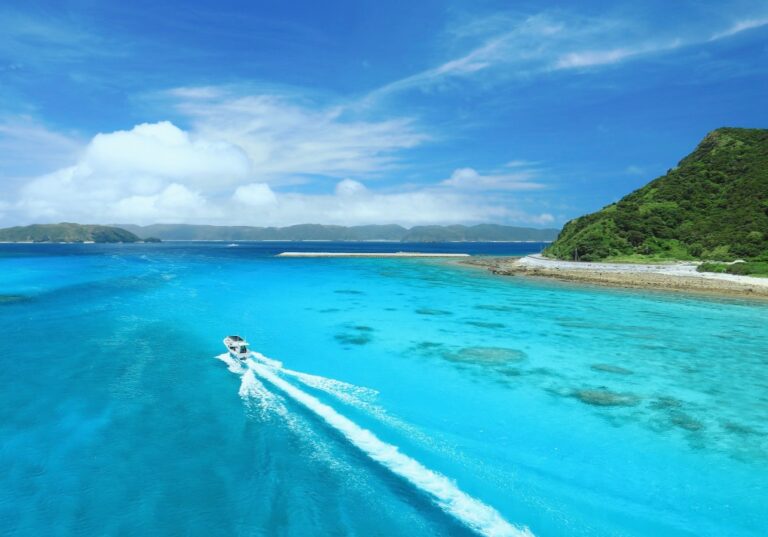 7/21　夏とともに