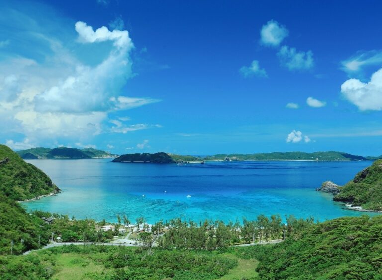 7/27　ウミガメが