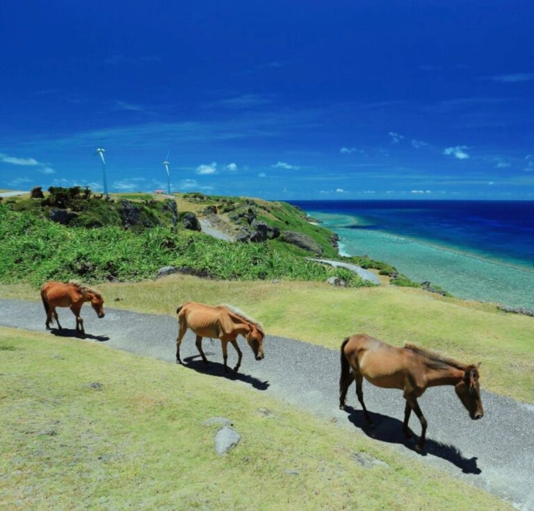 7/31　よんな〜よんな〜
