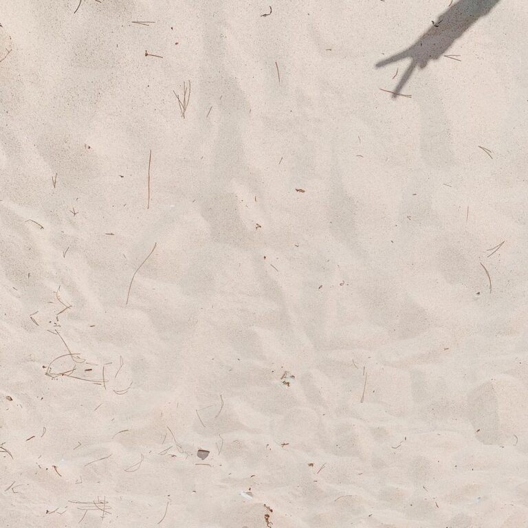 8/31　グッバイ8月🌞🦀