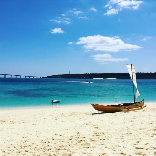 8/2　ヤシの木をグイングインいわせる