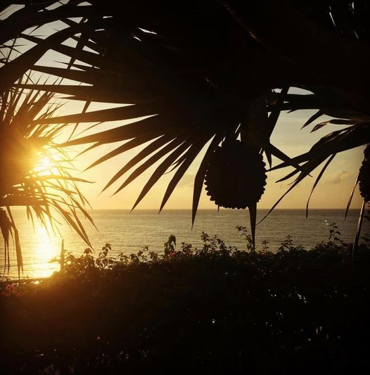 9/28　ぽろんとぶら下がっている