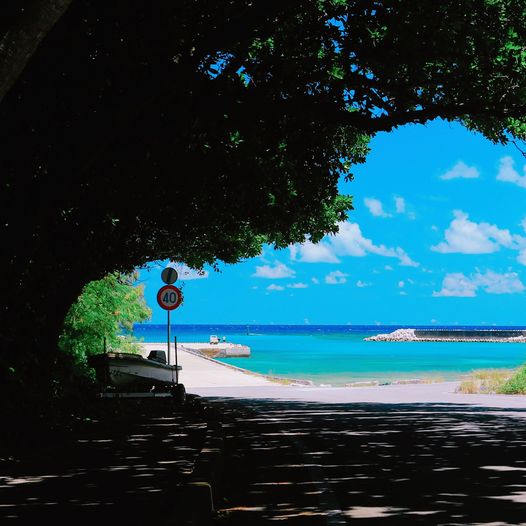 10/21　まあるいカタチのタラマ島は