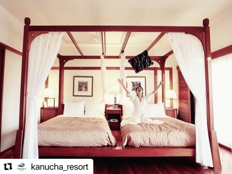 10/15　やっほーい「天蓋付きベッド」🌺