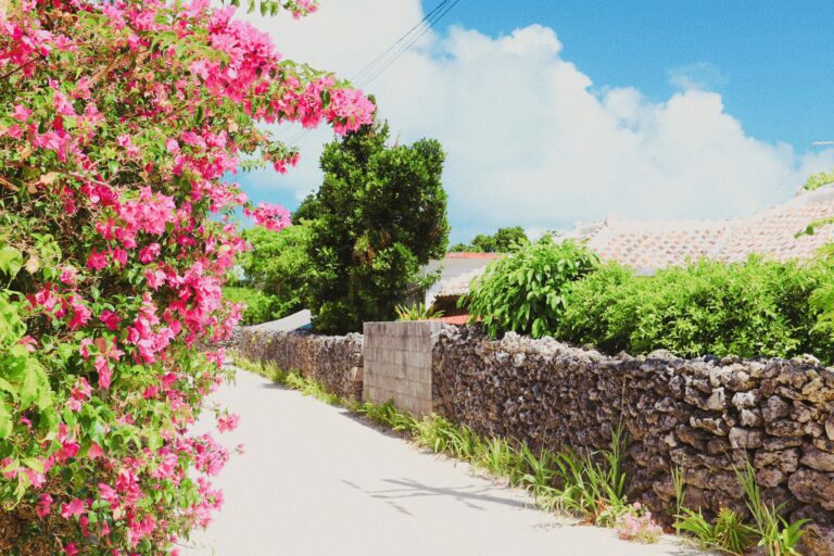 10/19　トロピカルな草花も