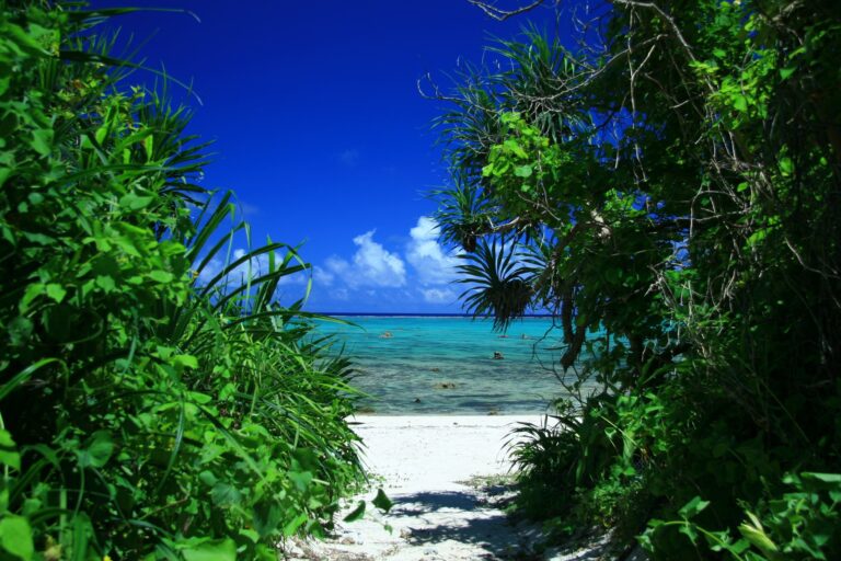 10/23　より道ビーチ⛱🌞