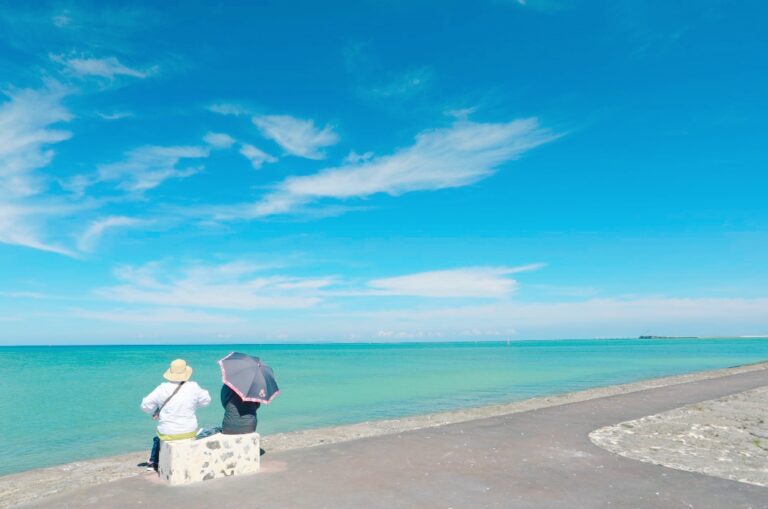 11/8　トロピカルおしゃべりな