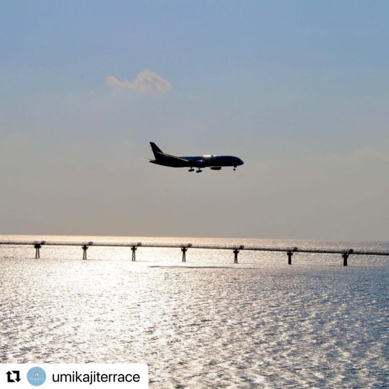 11/19　夕方の便で到着した南の島🌺