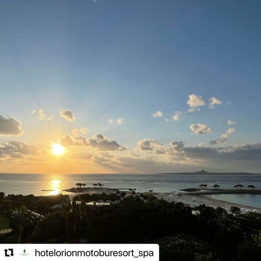 11/26　大きな木の群れが