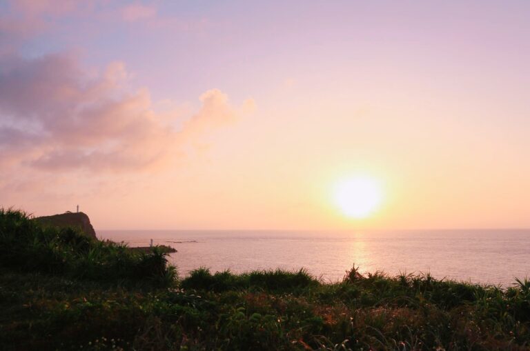 11/30　たそがれトロピカル