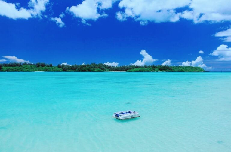 12/4　ぽっかりぷっかり