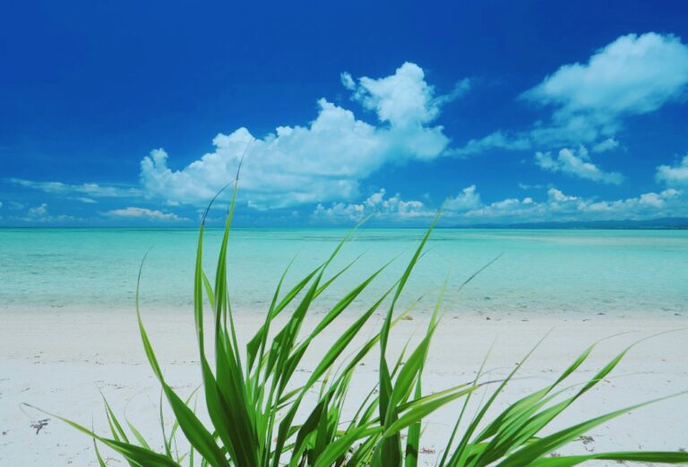 12/14　することがないから