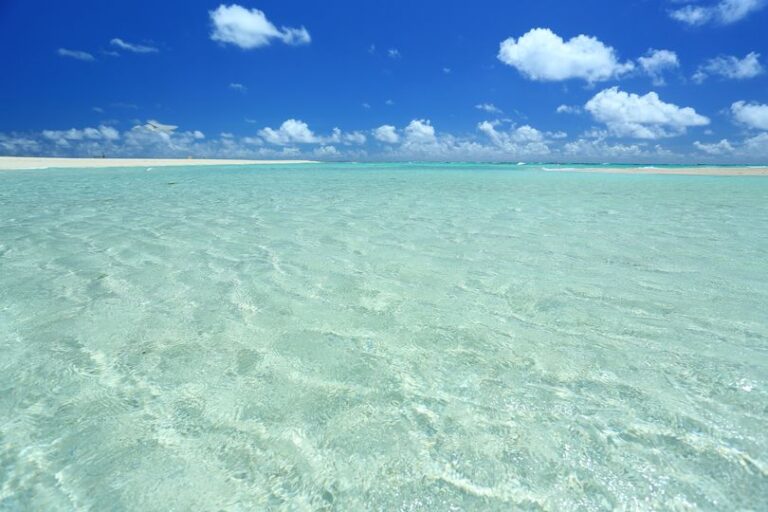 1/29　サイダーみたいな