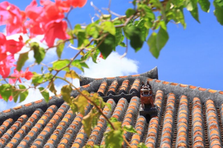 1/4　今日は石の日🥌