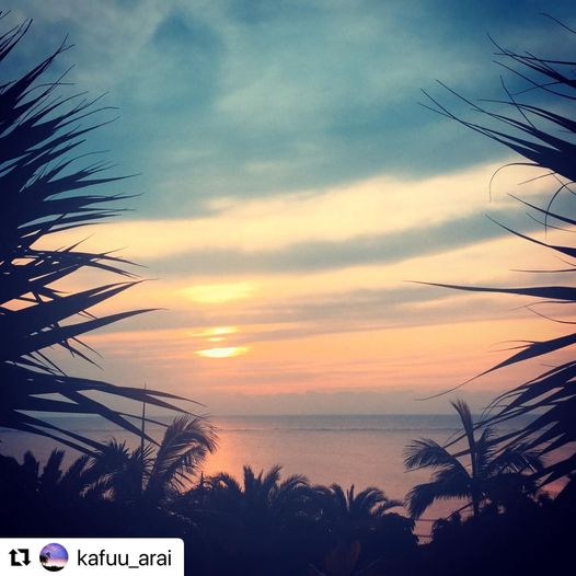 2/1　トロピカルなサンセットがチラリ🌞