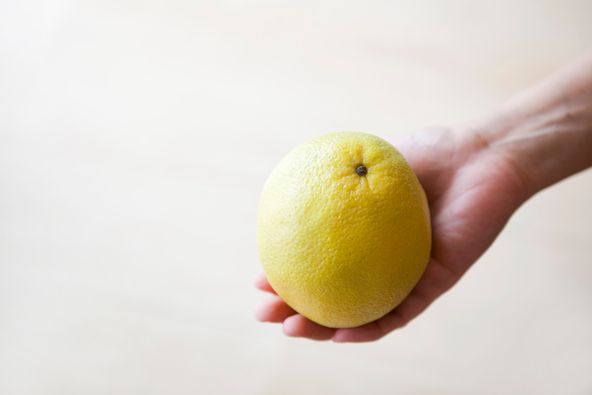 2/13　フレッシュな果物を