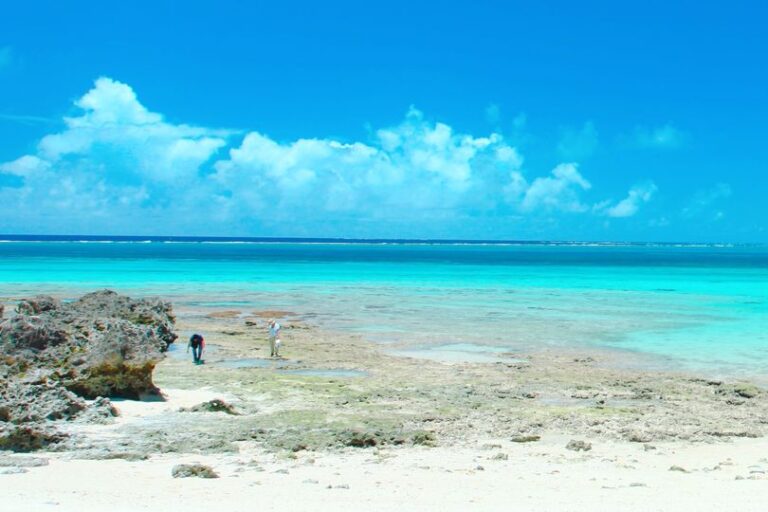 2/19　宮古ブルーに背を向けて