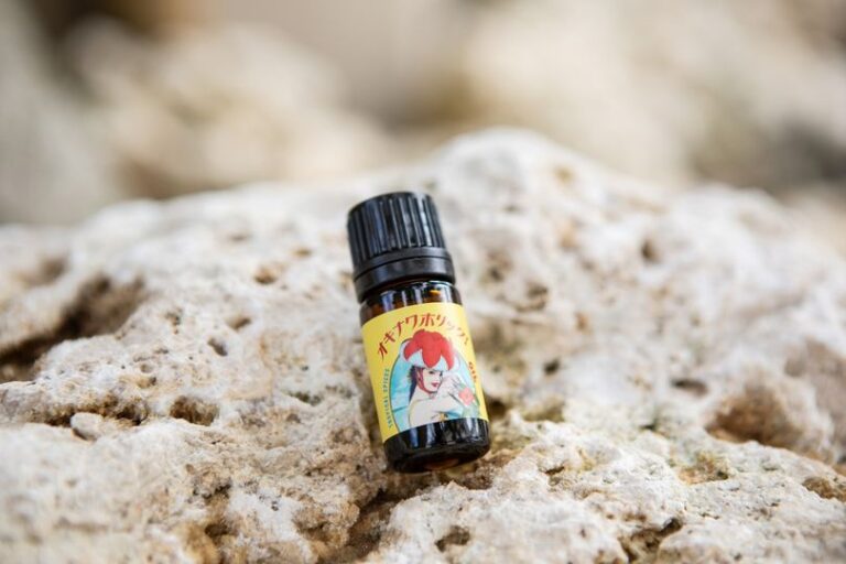 8/24　あれは数年前