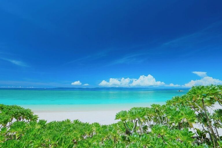 2/26　good morning🌞