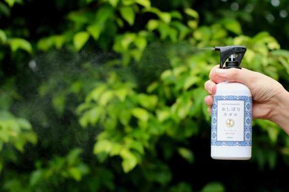 2/27　みずみずしい天然の香り🌺🌞