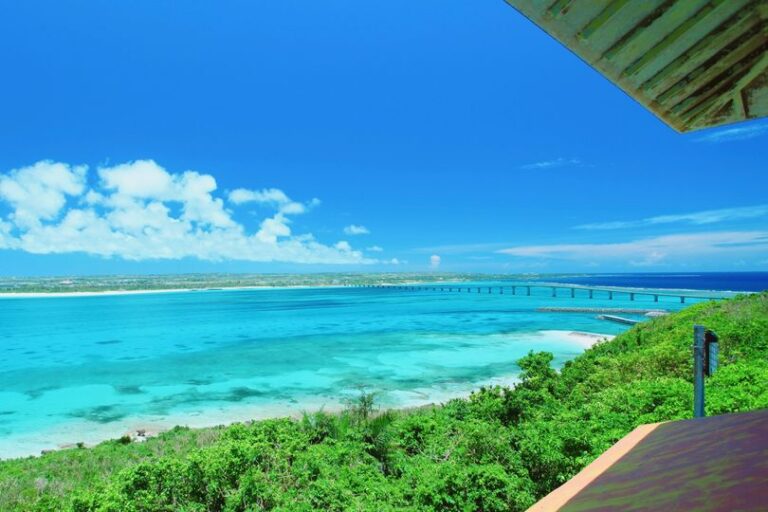 3/1　びゅーんと長いあの橋を渡って