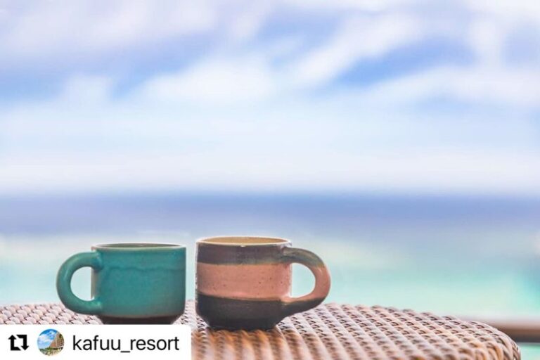 3/11　ほっこり陽気な南の島のうつわ