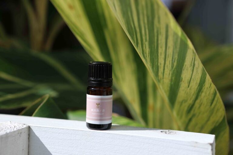 3/14　海にぐるり囲まれた