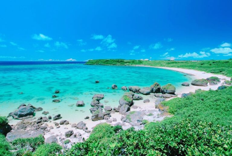 3/15　春の香りや春の色は一瞬で